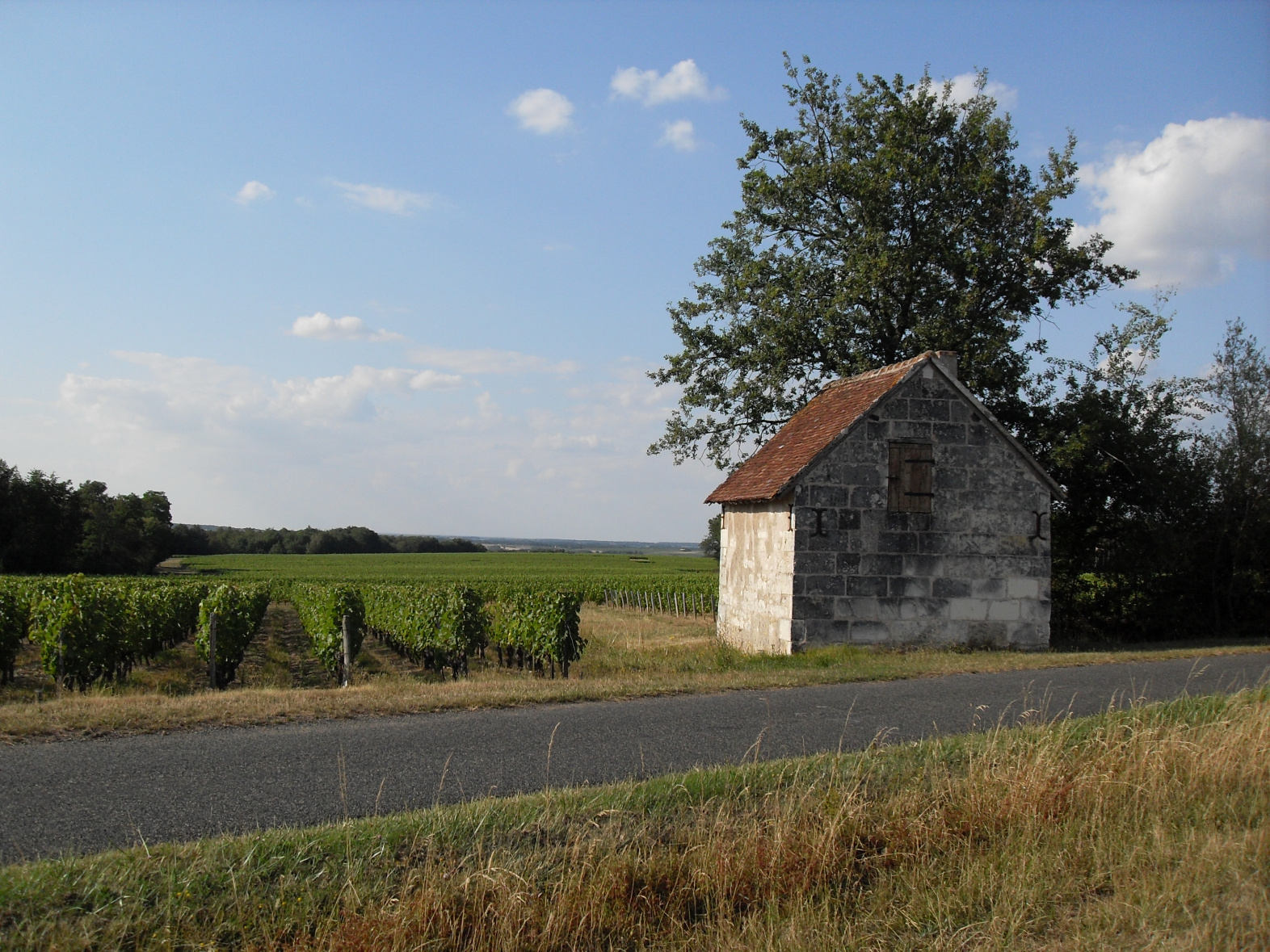 Domaine Francois Cartier Our Wineries Abs Wine Agencies