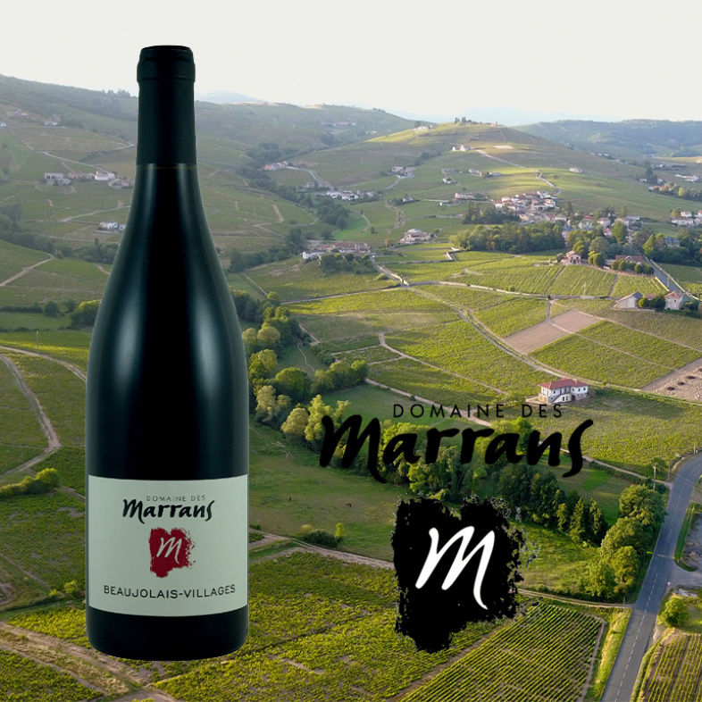 Telegraph Wine Of The Week - Domaine de Marrans Beaujolais Villages