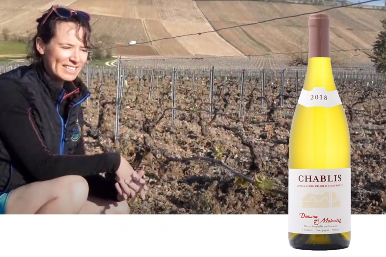 Chablis 2018 - YouTube Video - Domaine Des Malandes