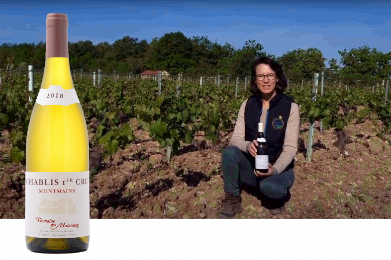 Chablis 1er cru Montmains - Youtube Video - Domaine des Malandes