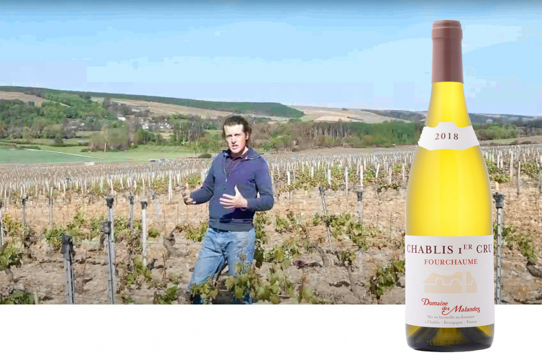 Chablis 1er cru Fourchaume - Youtube Video - Domaine des Malandes