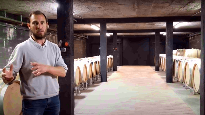 Winery visit with Guénolé Breteaudeau - Youtube Video - Domaine des Malandes