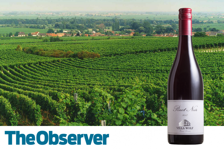 Villa Wolf Pinot Noir - The Observer