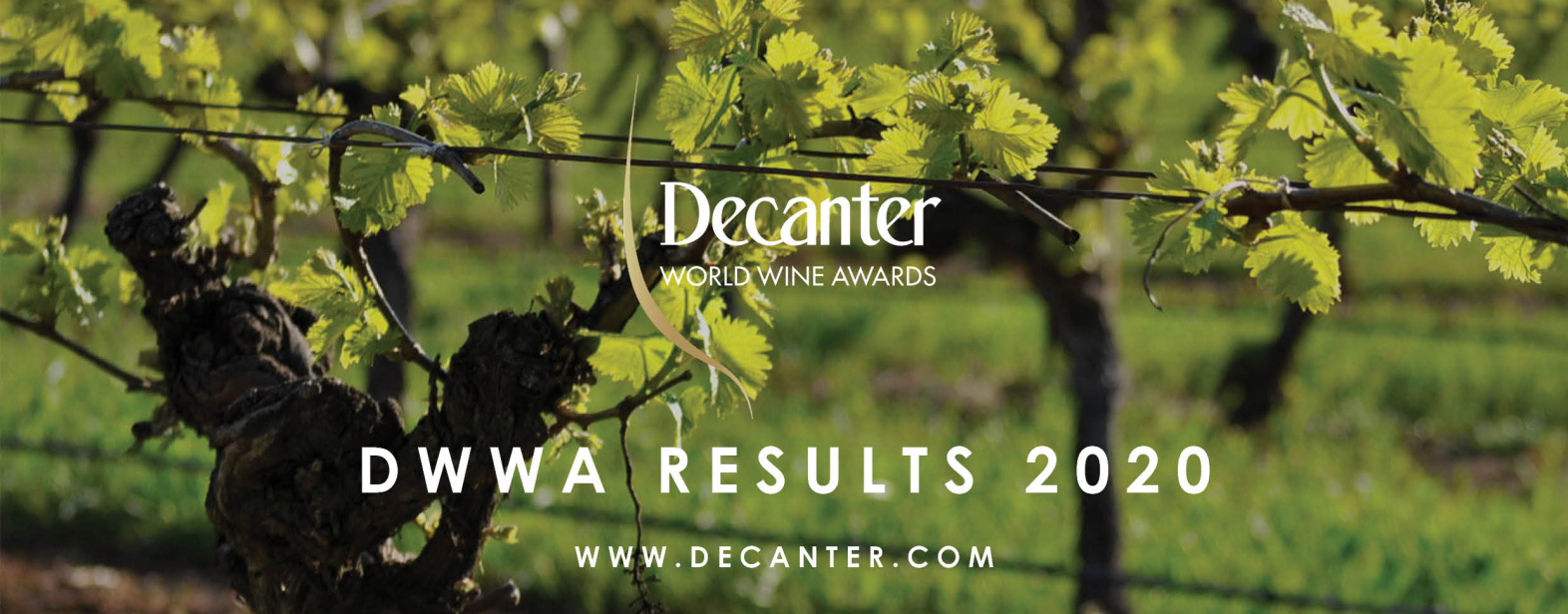 ABS Decanter World Wine Awards Results 2020 News ABS Wine Agencies