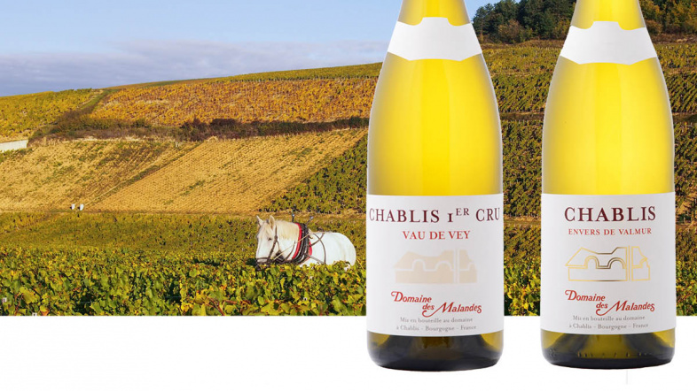 Domaine des Malandes reviews in Decanter