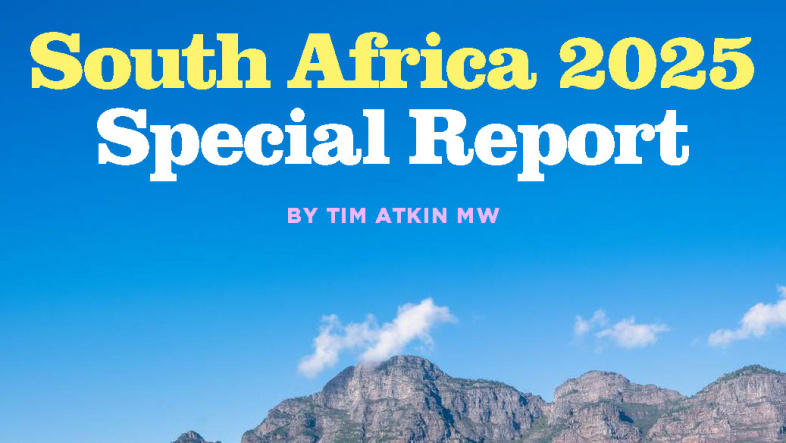 Fantastic Results from the Tim Atkin's 2025 South Africa Report