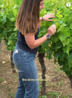 Interview with Flavia Rallo from Flavia Wines for the ABS Portfolio Tasting 2025