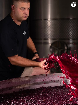 Interview with Tom Hicks from The Hedonist for the ABS Portfolio Tasting 2025