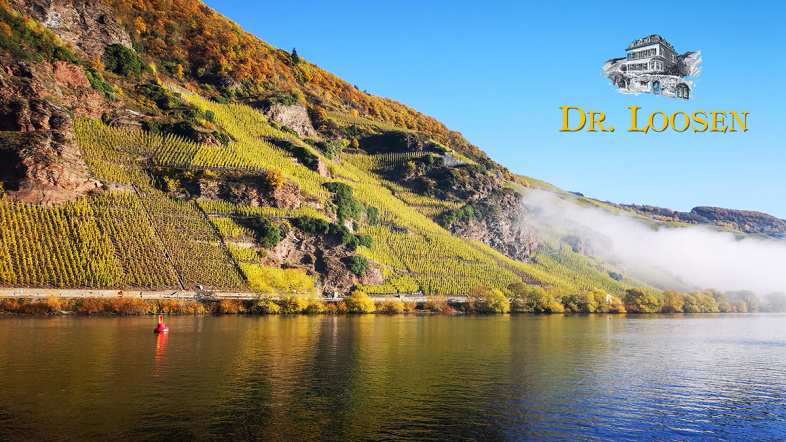 DR. LOOSEN VINOUS REVIEWS - October 2025