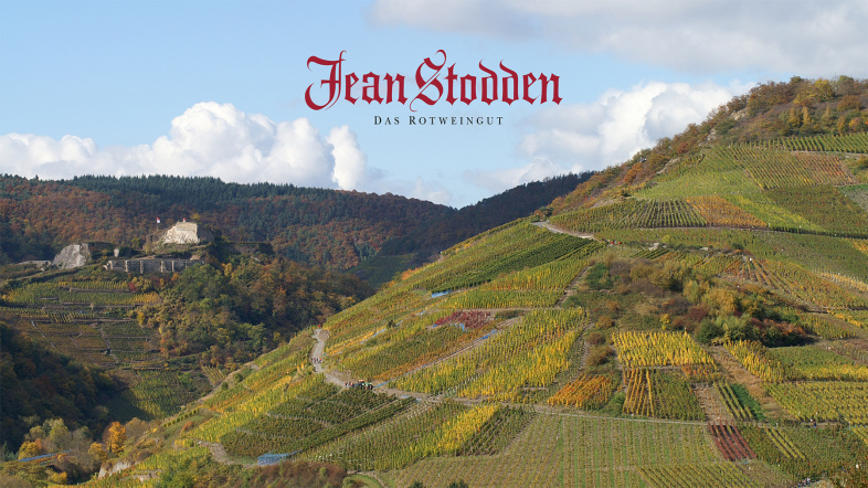 JEAN STODDEN REVIEWS - DEUTSCHLAND WEIN TOUR 2025 - YVES BECK