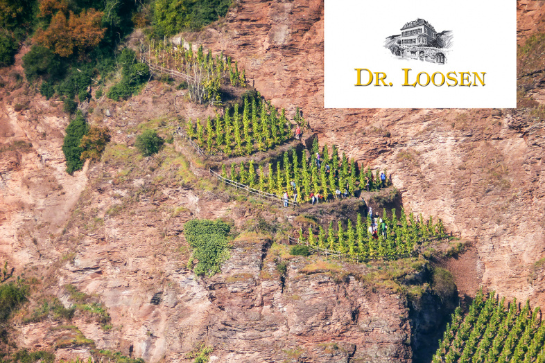 DR. LOOSEN REVIEWS - Wine Advocate