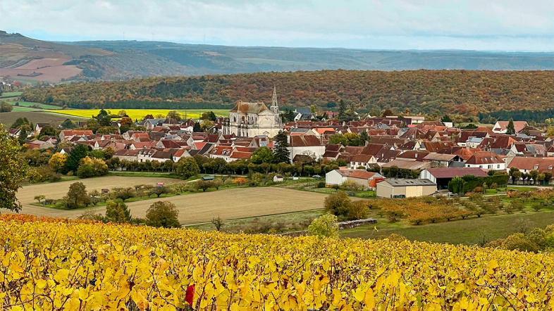 Burgundy Report - Chablis, Burgundy and Beaujolais, October 2025