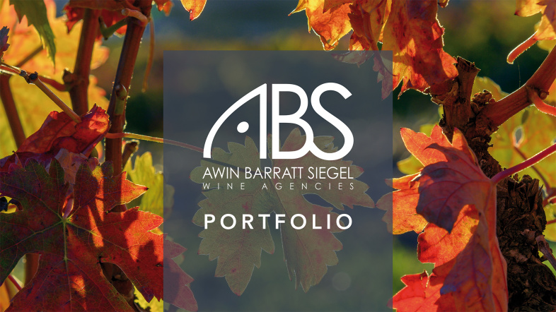 ABS Digital Portfolio Brochure