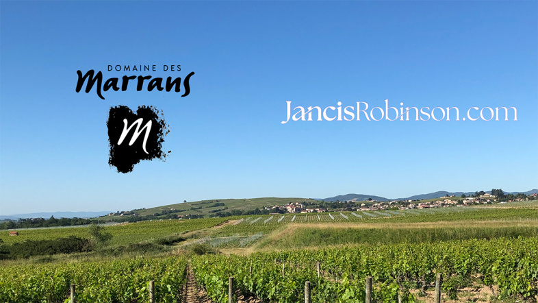 Beaujolais - Domaine des Marrans - Jancis Robinson June 2026