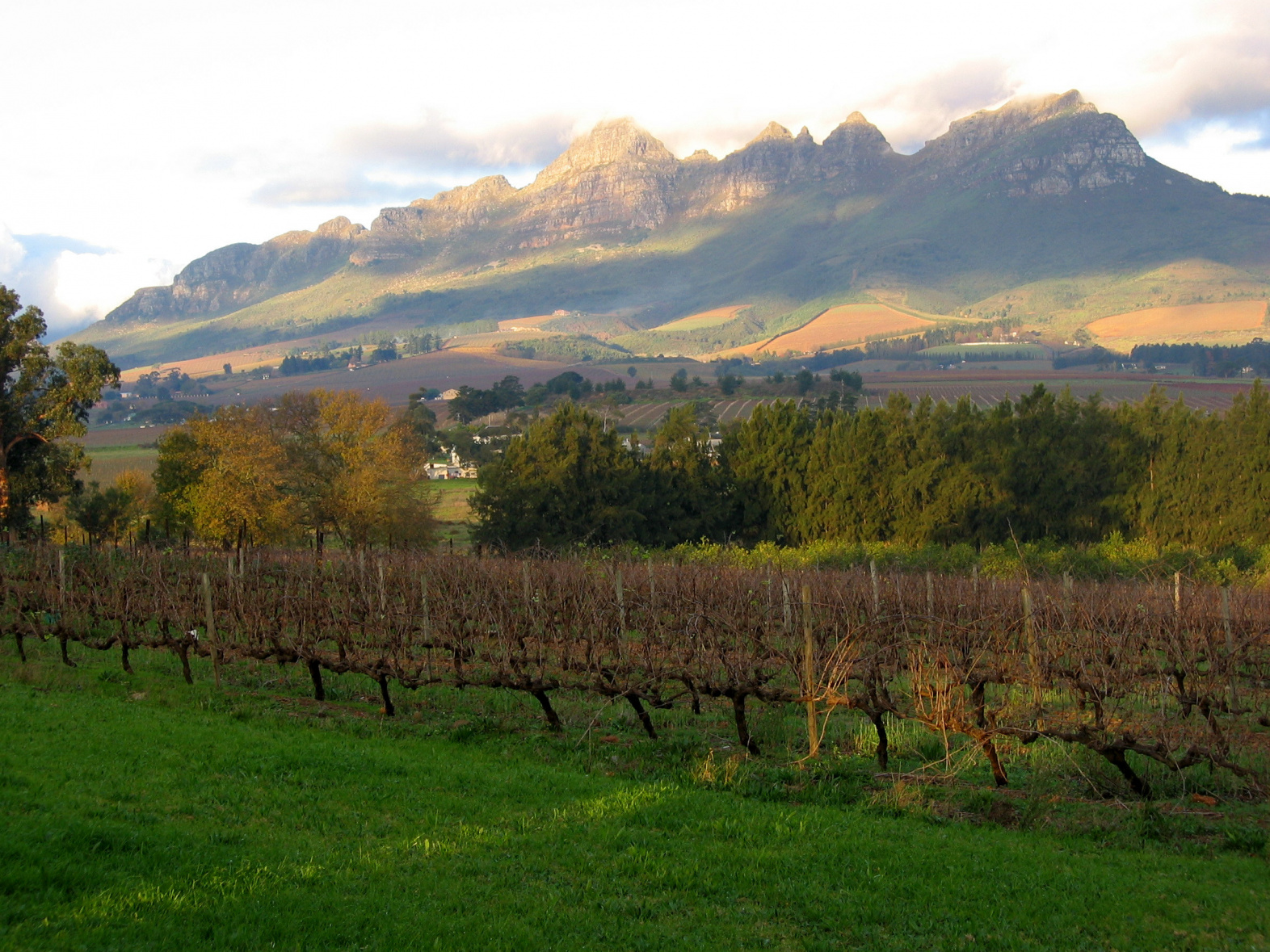 Post House Vineyards Our Wineries ABS Wine Agencies