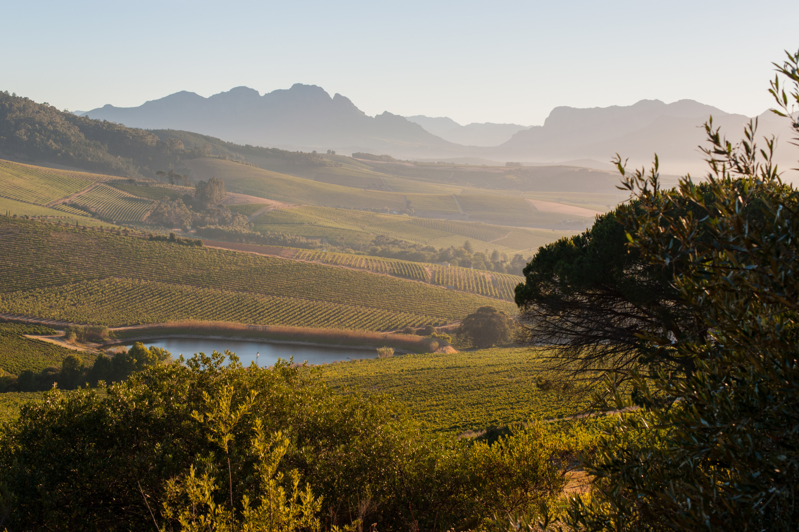 Jordan Wine Estate Our Wineries ABS Wine Agencies