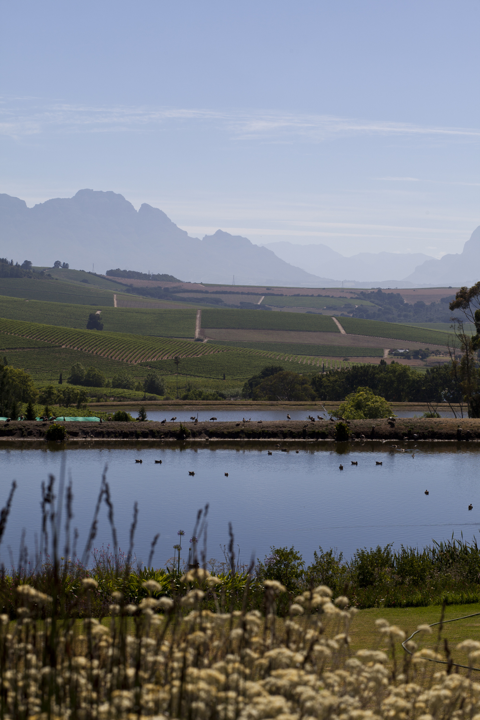 Jordan Wine Estate Our Wineries ABS Wine Agencies