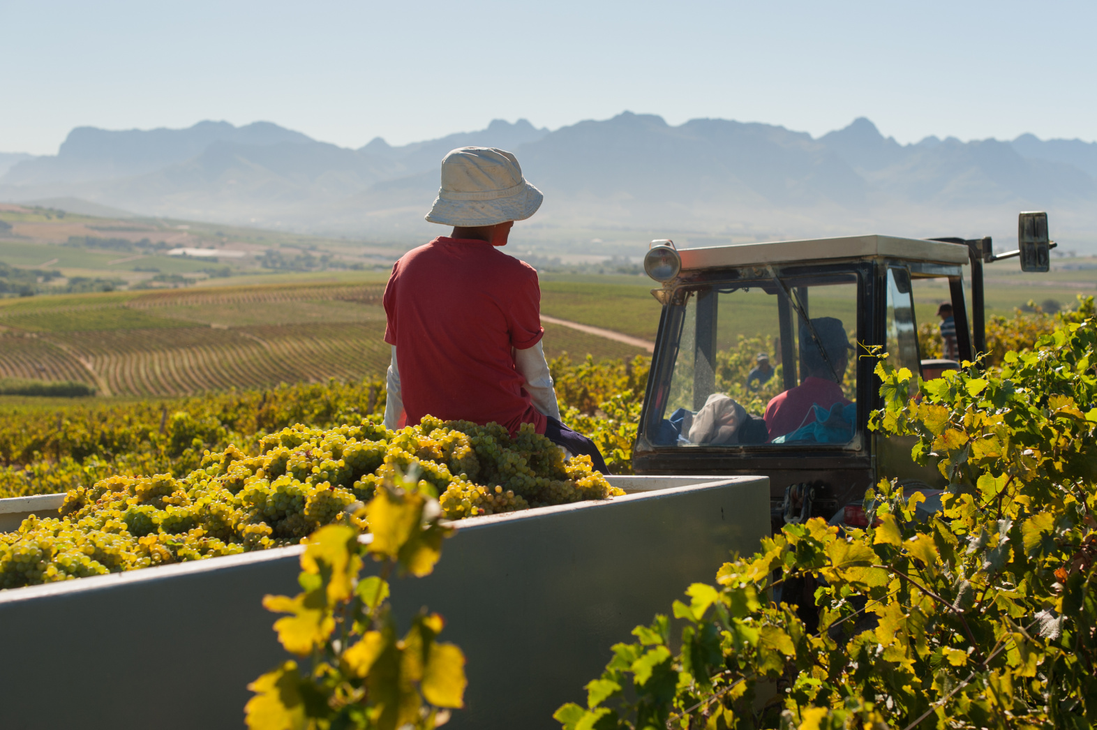 Jordan Wine Estate Our Wineries ABS Wine Agencies