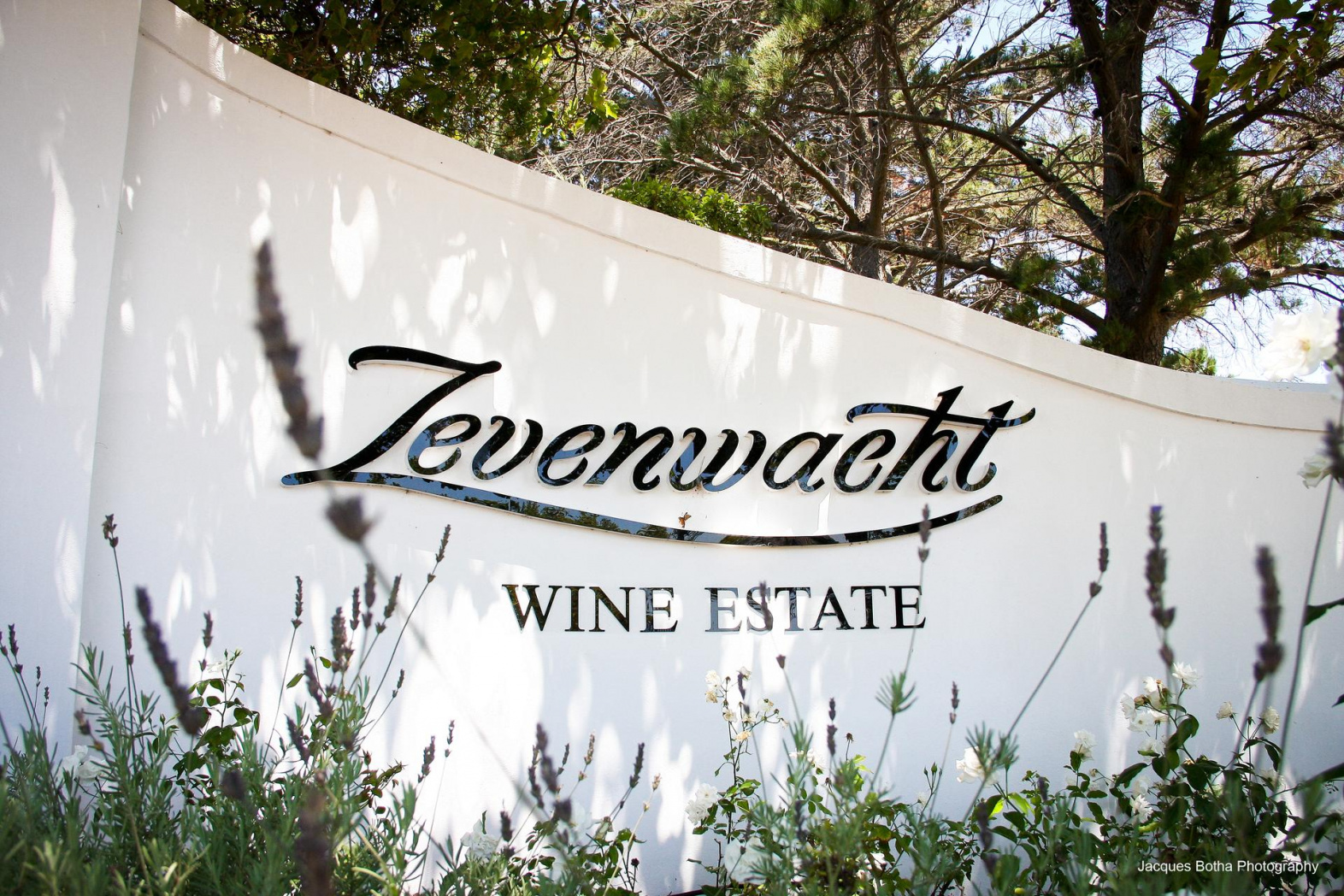 Zevenwacht Our Wineries ABS Wine Agencies