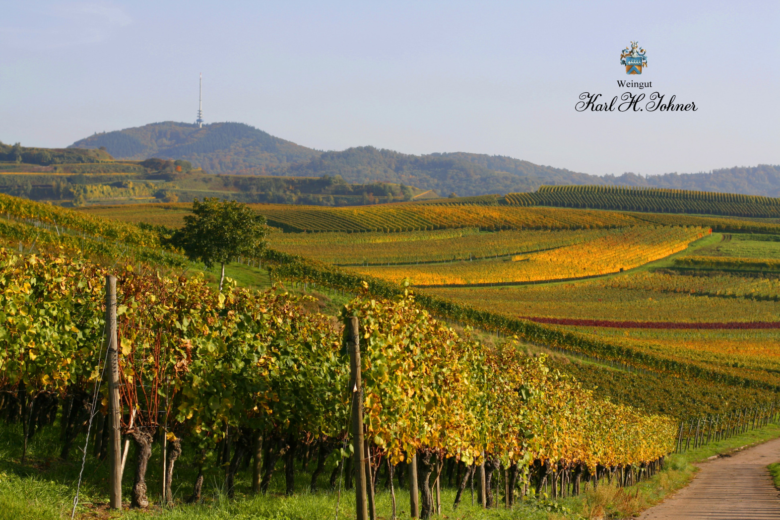 Weingut Karl H. Johner Our Wineries ABS Wine Agencies