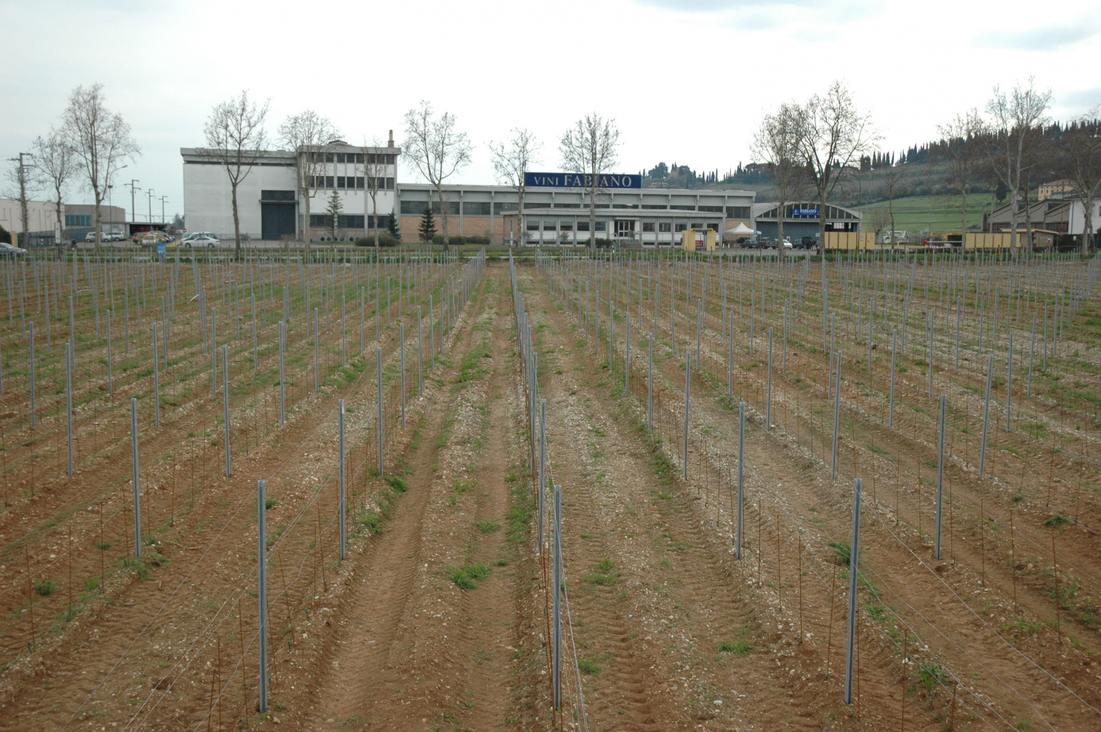 Fabiano Our Wineries ABS Wine Agencies fabiano-our-wineries-abs-wine-agencies