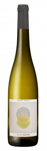 2024 Sophie Schaal Riesling Dry